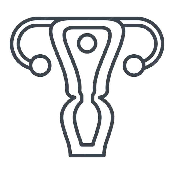 categories-icon-1